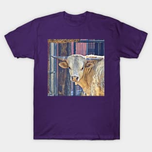 Texas Longhorn T-Shirt